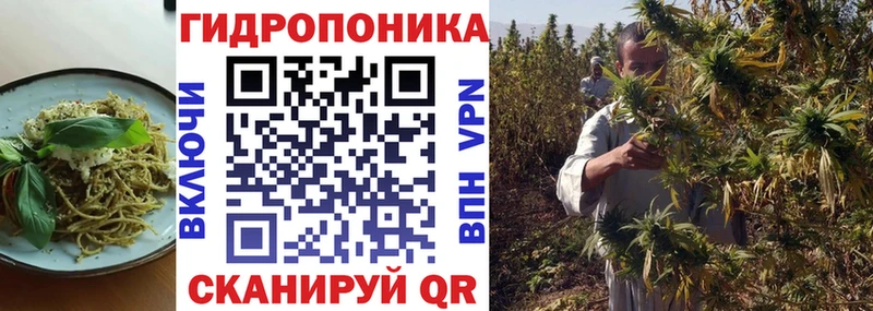 гидра ССЫЛКА  Мончегорск  Cannafood марихуана 