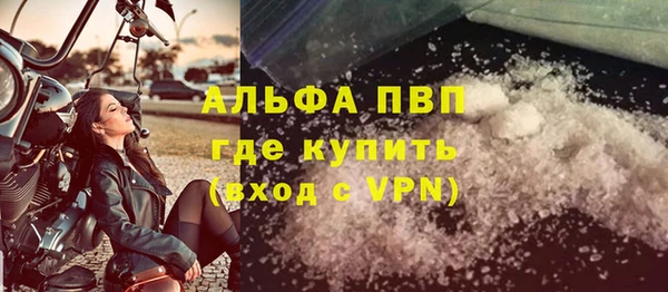молекула духа Белоозёрский