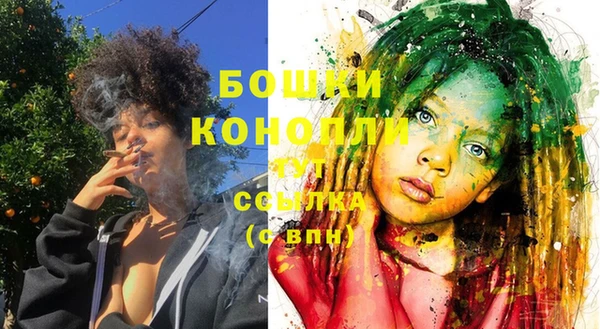 молекула духа Белоозёрский